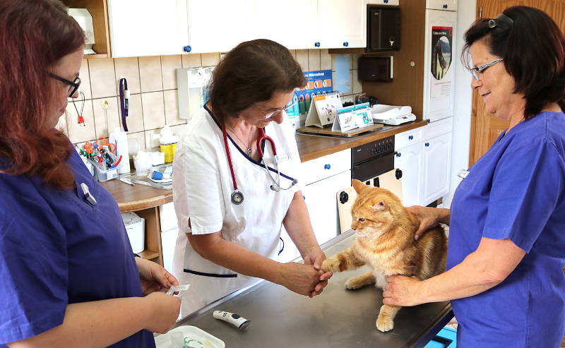 Tierarztpraxis Hof Langental - Uslar