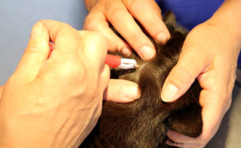 Tierarztpraxis Hof Langental - Uslar